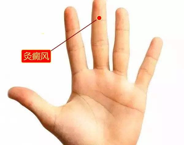 复方马齿苋液使用说明