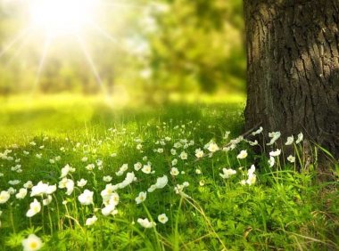 警幻的体质专档