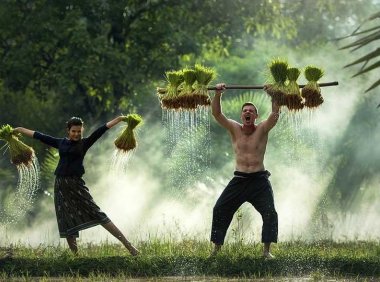 李晓华的体质专档