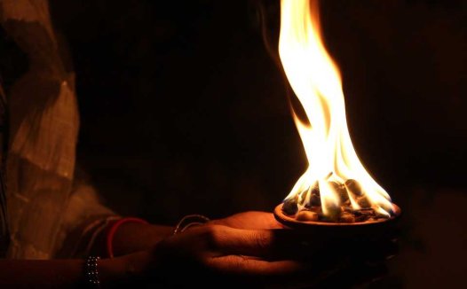 杨桃不能和什么一起吃?