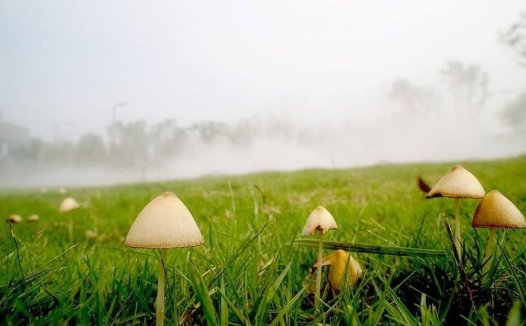 滥用剽悍，奇症终成不治；巧使轻灵，难症亦可回春