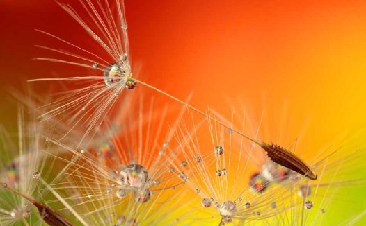 身痛案（刘渡舟）