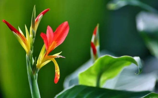 六经论（刘渡舟）