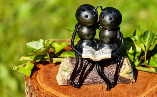 我弟弟患癫痫用公鸡腰治疗10天获愈