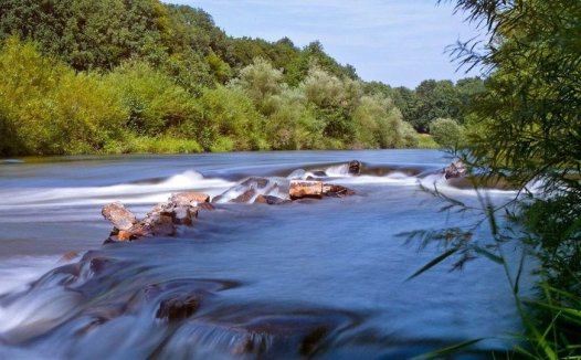 连服5只甲鱼能治愈3年的羊癫风