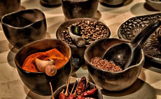 宋慈小传及医术概要