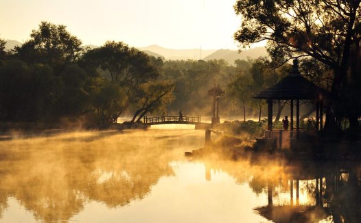 雪菜肉丝面的功效及做法