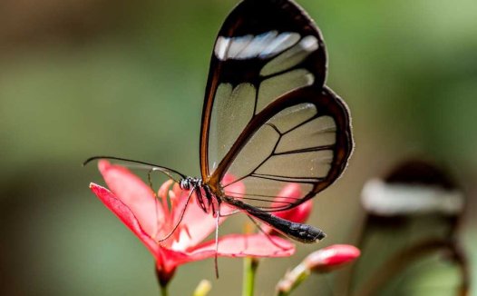 疏肝理气法在辨治下焦疾病中的运用