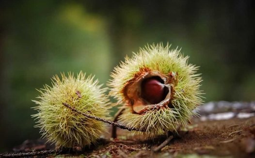 权衡动静痰为先，斟酌凉温慎敛涩