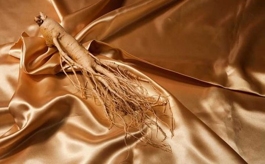 知草庐随笔（节选）