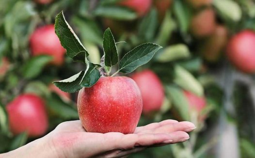 痞满通降慎开破，气血燥润每同求