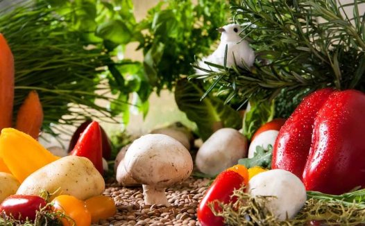 治喘握两纲,六证三原则