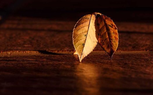 论病怔忡虚为主，气血阴阳每细斟