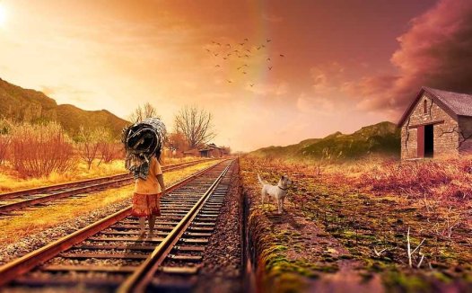 燮理脏腑 扶正为主