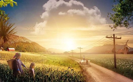 审察牙痕,辨明风火毒邪——治疗毒蛇咬伤的经验