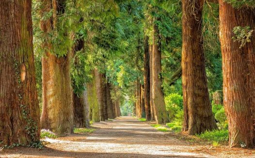 惊悸怔忡证治汇补