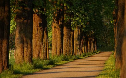 论病停饮气血虚，临证每疏景岳方