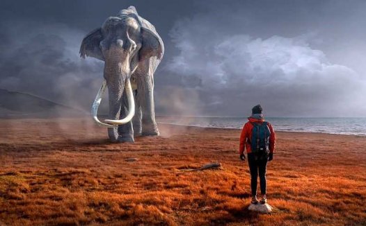 黑茶的功效与作用