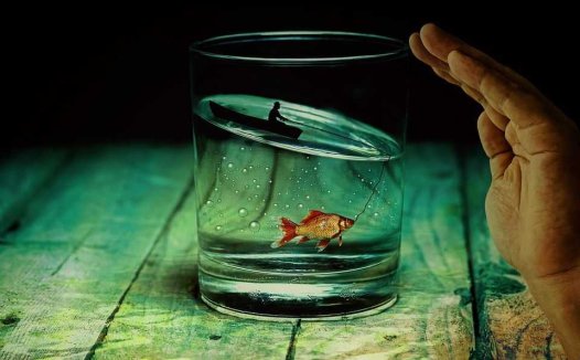 桑叶茶的功效有哪些