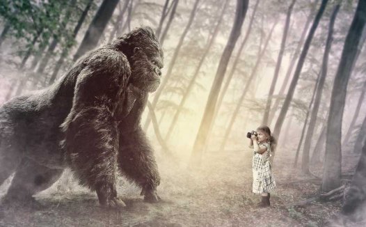 荷叶茶的功效有哪些?