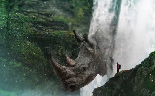 桃花茶的功效与作用