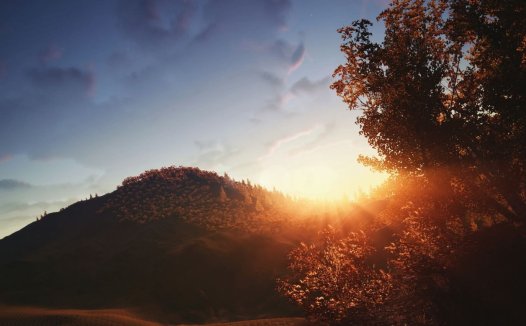 木耳的功效与作用及禁忌