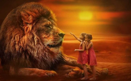 猴头菇的功效与作用