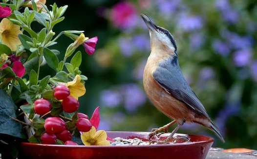表散祛痰发时法，培补脾肾缓后方