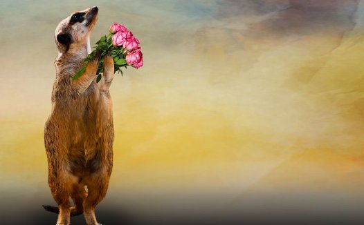 我用手脚穴位按摩法治心脏病很有效