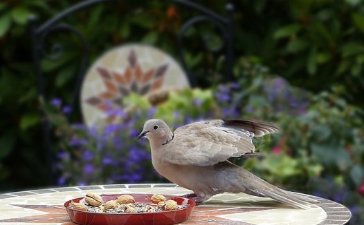 我利用手脚按摩法治病的体会