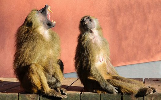 我的冠心病是这样治好的