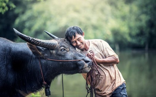 诊治心肌炎，重祛余邪兼养气阴
