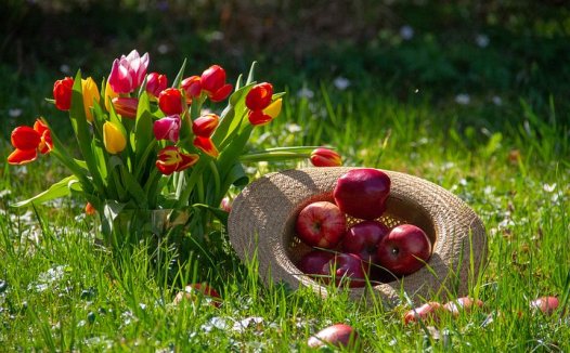 瘿气怔忡悸，百合地黄汤