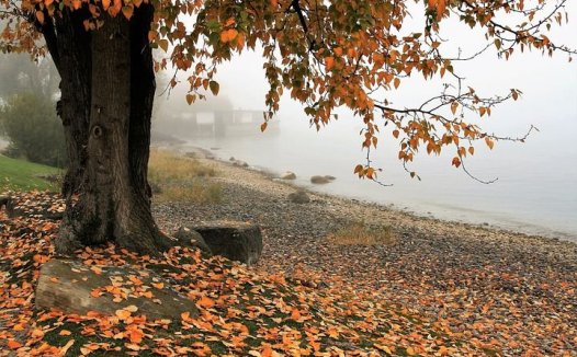 哮喘发作别寒热，开闭涤痰总相宜