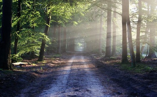 温阳豁痰平哮喘，麻黄附子细辛汤