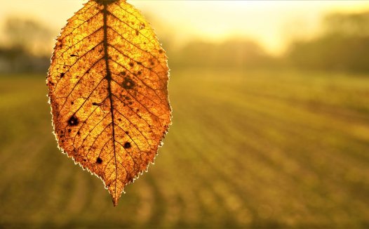 治疗心痹临床经验