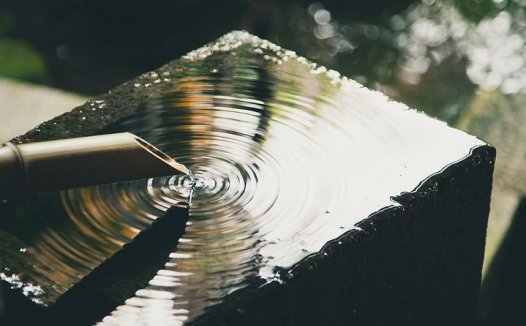 心急尚需调五脏，立断机因莫差迟