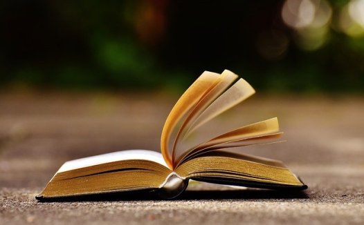 螺蛳的营养价值与实用功效