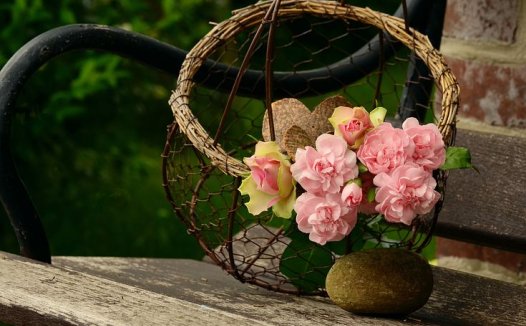 金银花的功效与作用