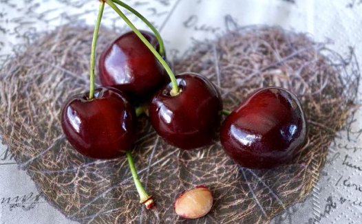 我国第一部成药制剂规范