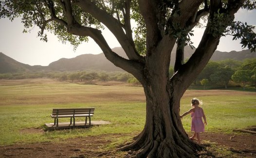 三消辨证，难窥全貌