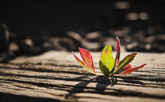 我用本方治中风偏瘫疗效显著
