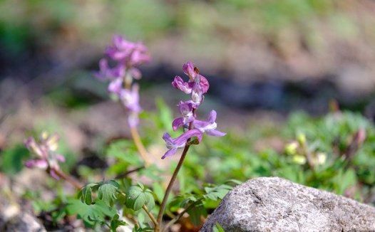 辨证理论方法研究专家欧阳锜经验方
