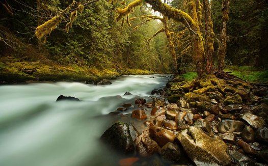 神经性皮炎的艾灸疗法