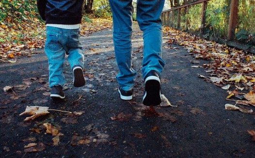 周期性精神病案