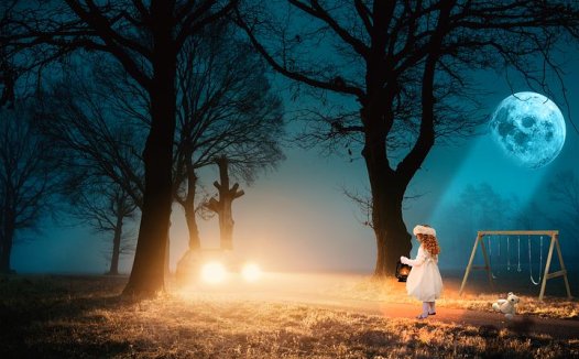 银柴胡的功效与作用