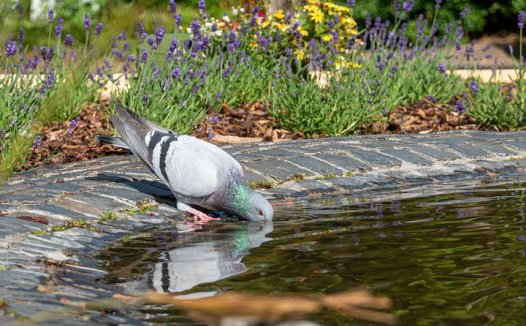 治腰椎间盘突出症效方荟萃