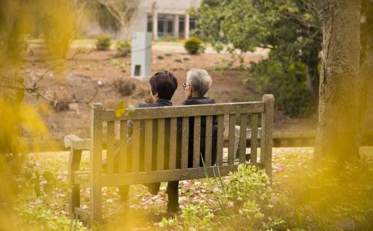 活血化瘀法的临床应用