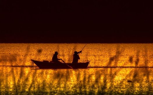 解毒除痰消瘤益气养阴补肺——治疗肺癌经验