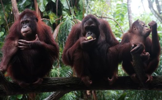 痤疮的艾灸疗法